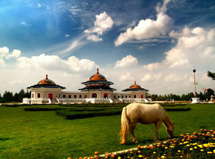 �ɼ�˼����